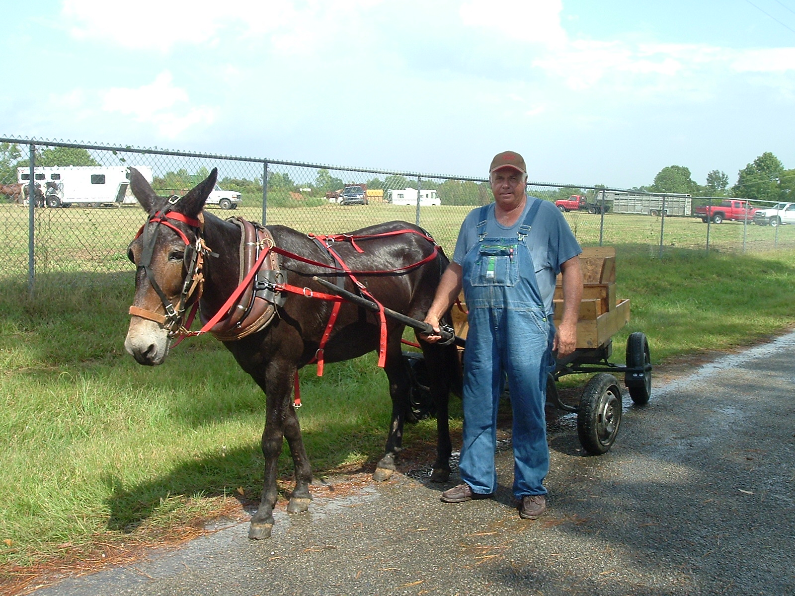 Mule Day 2006 21