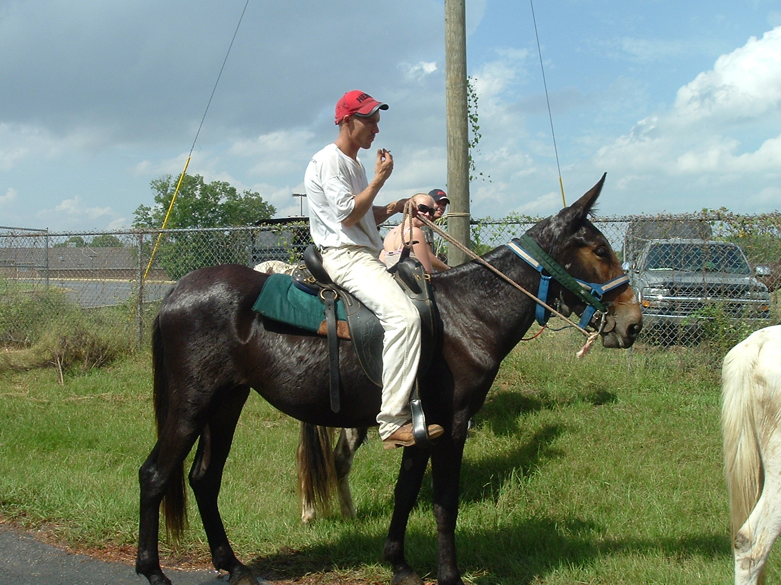Mule Day 2006 22