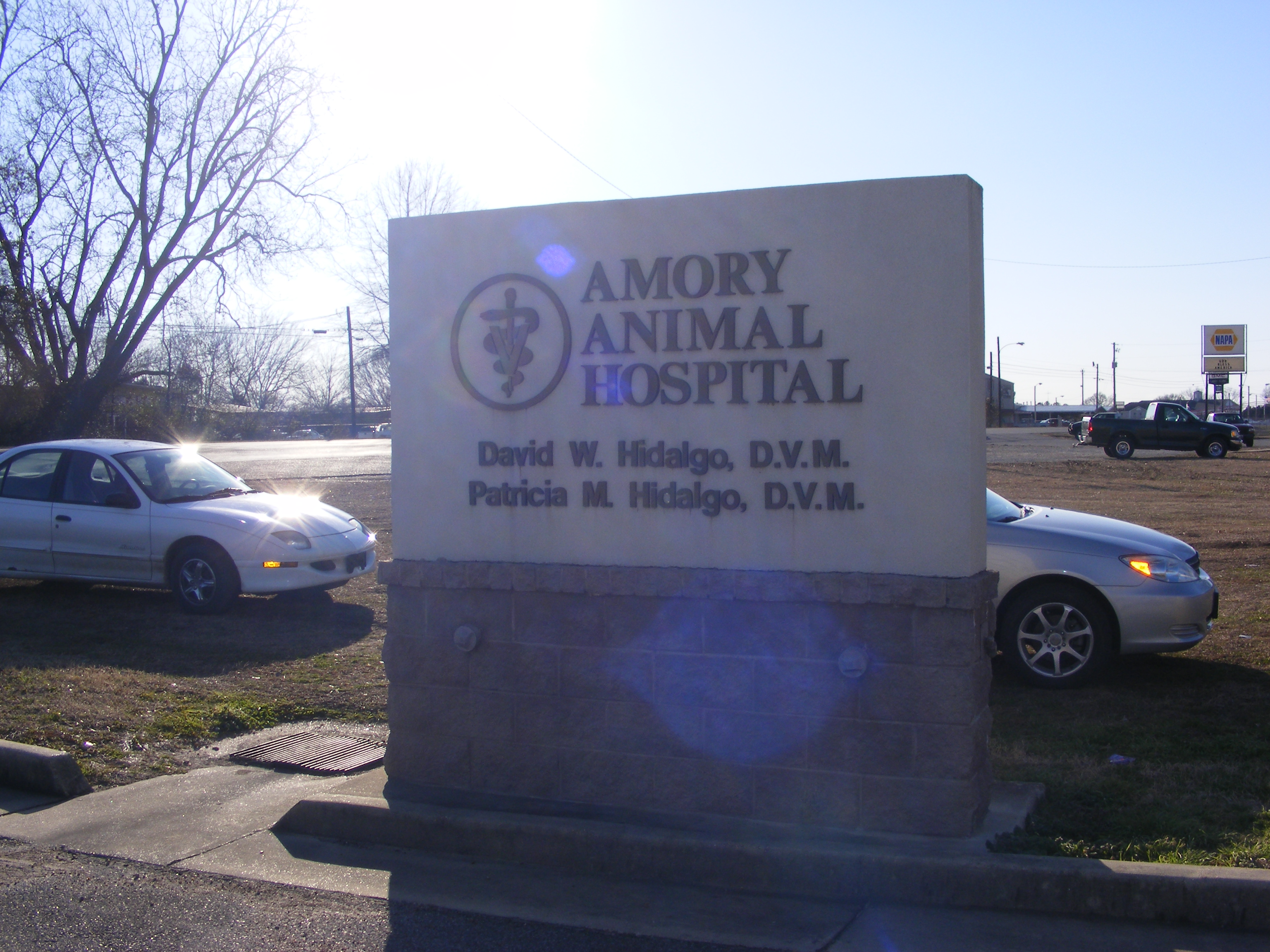 Our Quest for Low-cost Spay & Neuter Options photo 9 of 16