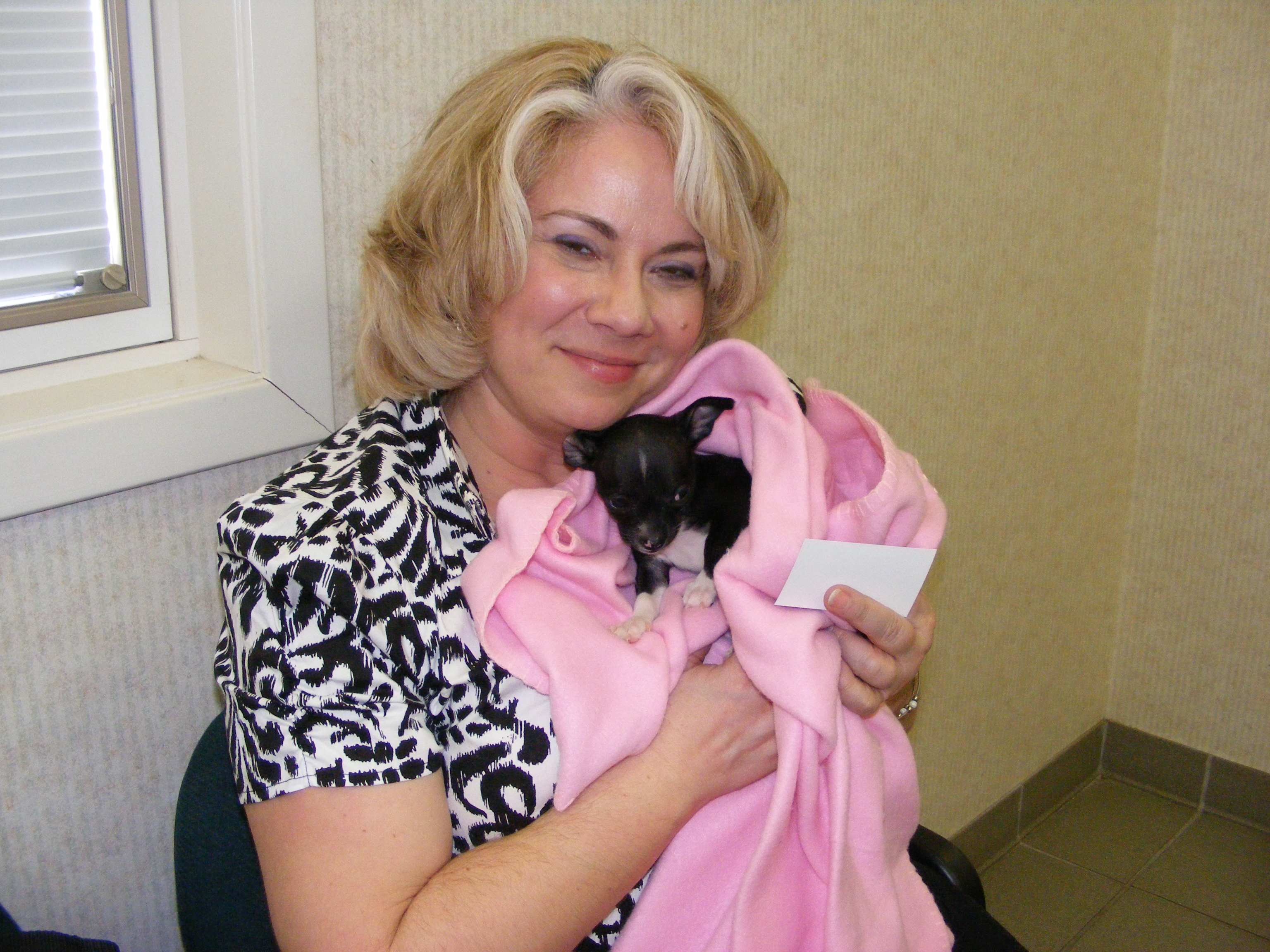 Our Quest for Low-cost Spay & Neuter Options photo 10 of 16